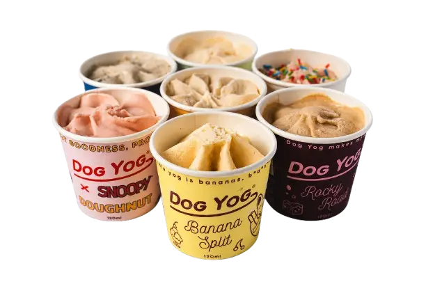 Dog Ice Cream & Frozen Pet Treats | FUDDLR Pet-friendly ice cream treats for dogs