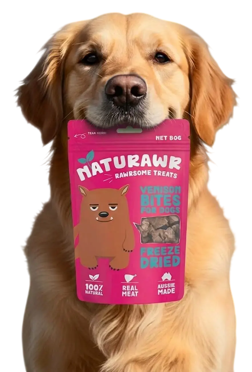 FUDDLR Wholesale Pet Supplies Dog representing FUDDLR wholesale pet products